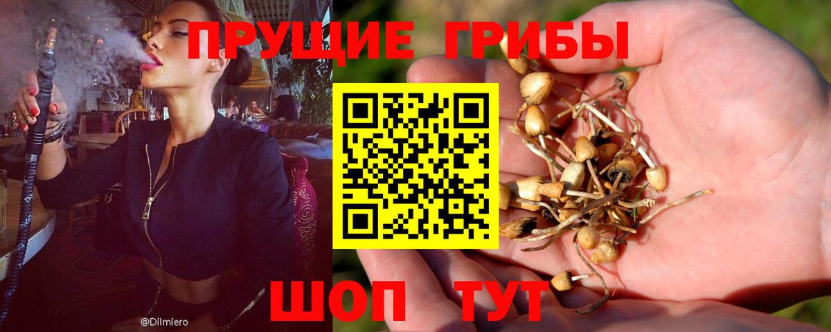 Галлюциногенные грибы Cubensis Биробиджан