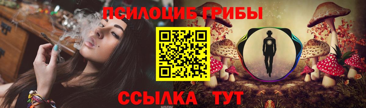 купить наркотики цена  Вход с VPN  Биробиджан  Псилоцибиновые грибы Cubensis 